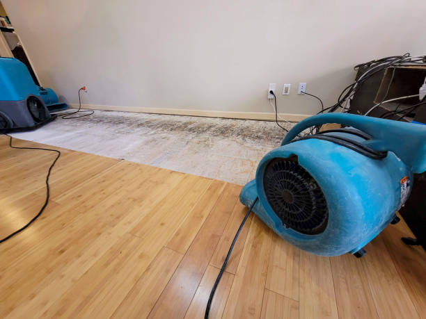 Professional Emergency Water Damage technician working in Sturgeon, MO